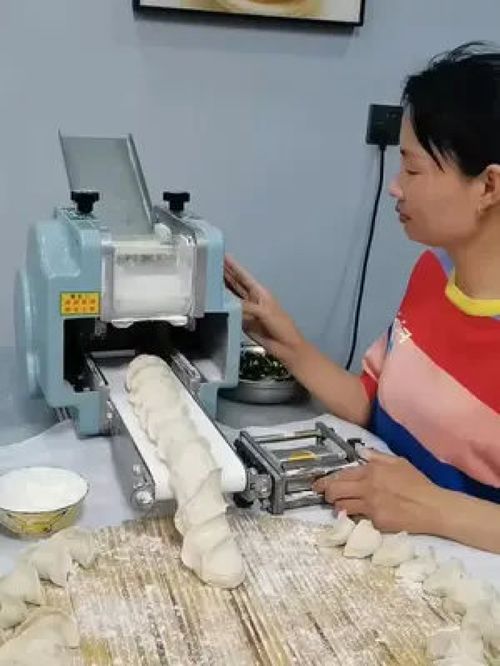 食品加工与机械加工 工业机械在经络保健器材生产制作中的关键角色